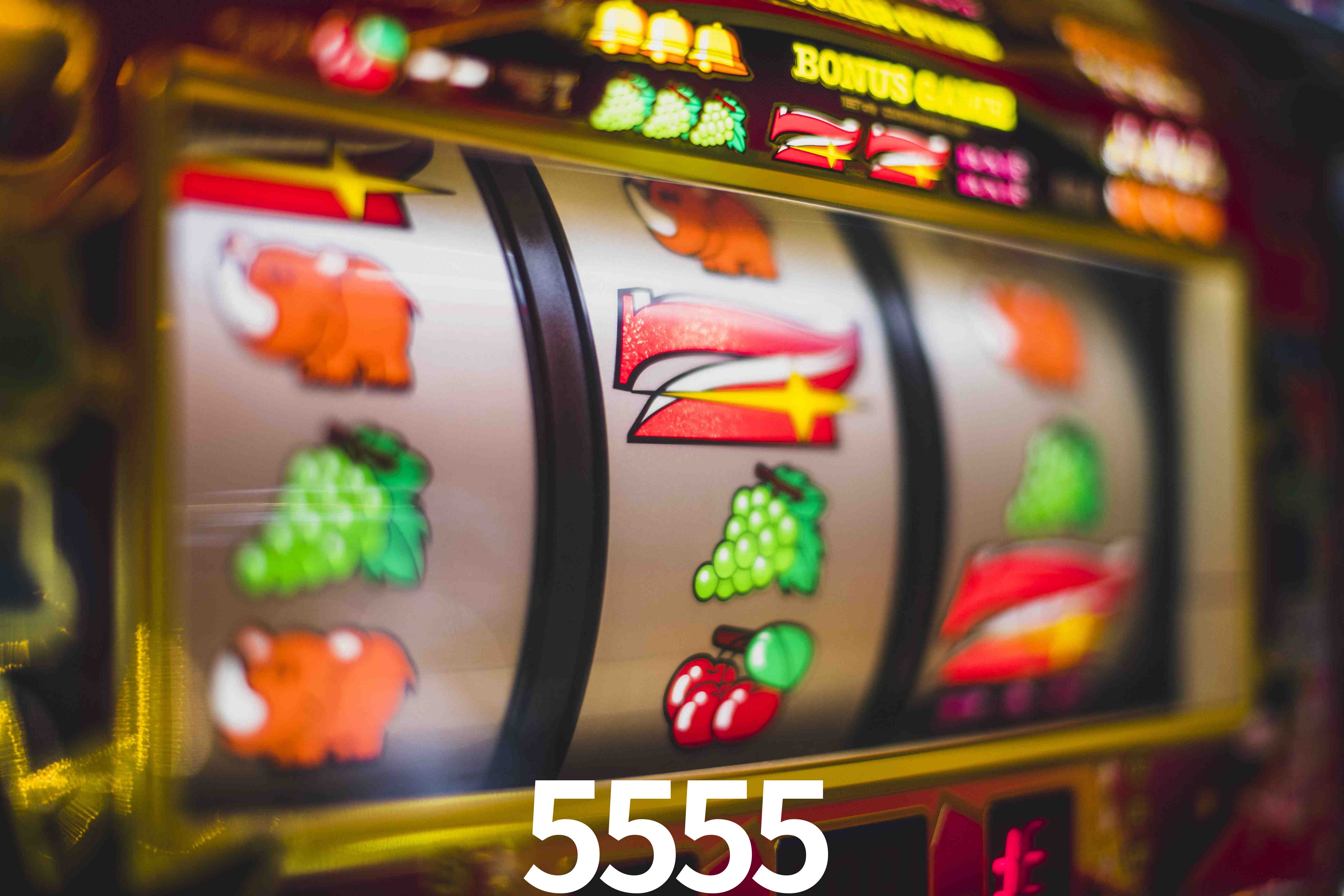 Tennis Betting 5555
